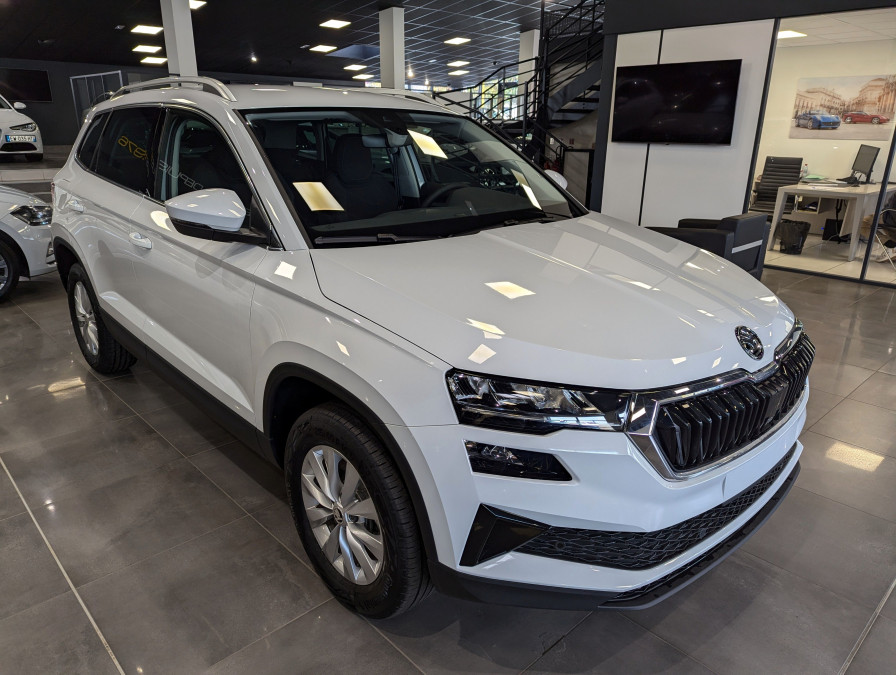 SKODA KAROQ 2.0 TDi 116 CH SELECTION occasion