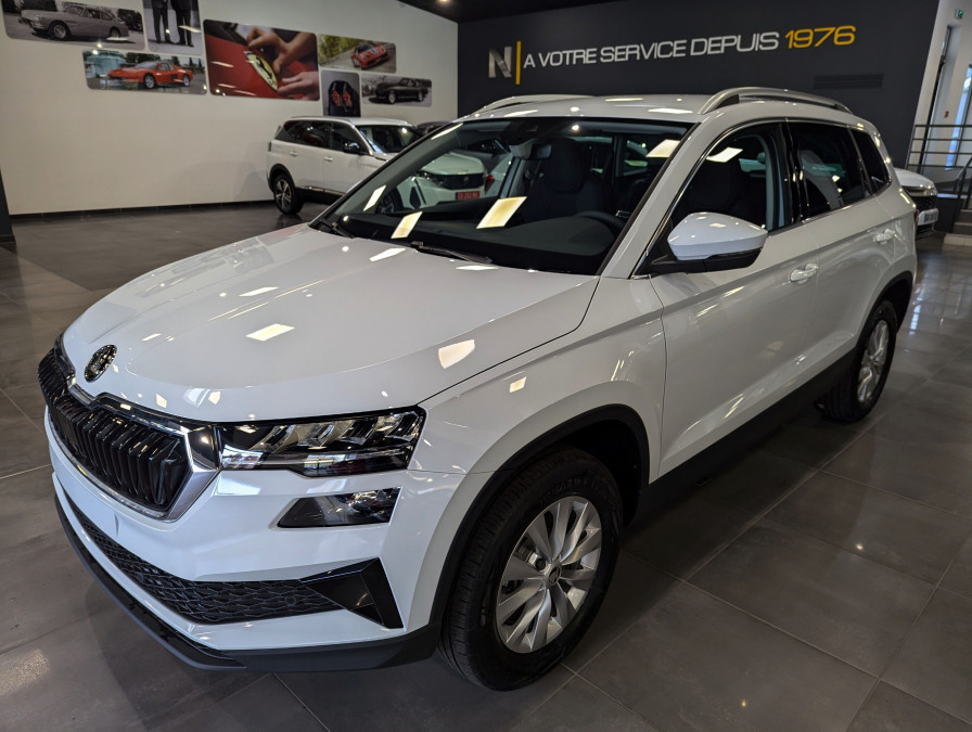 SKODA KAROQ 2.0 TDi 116 CH SELECTION occasion