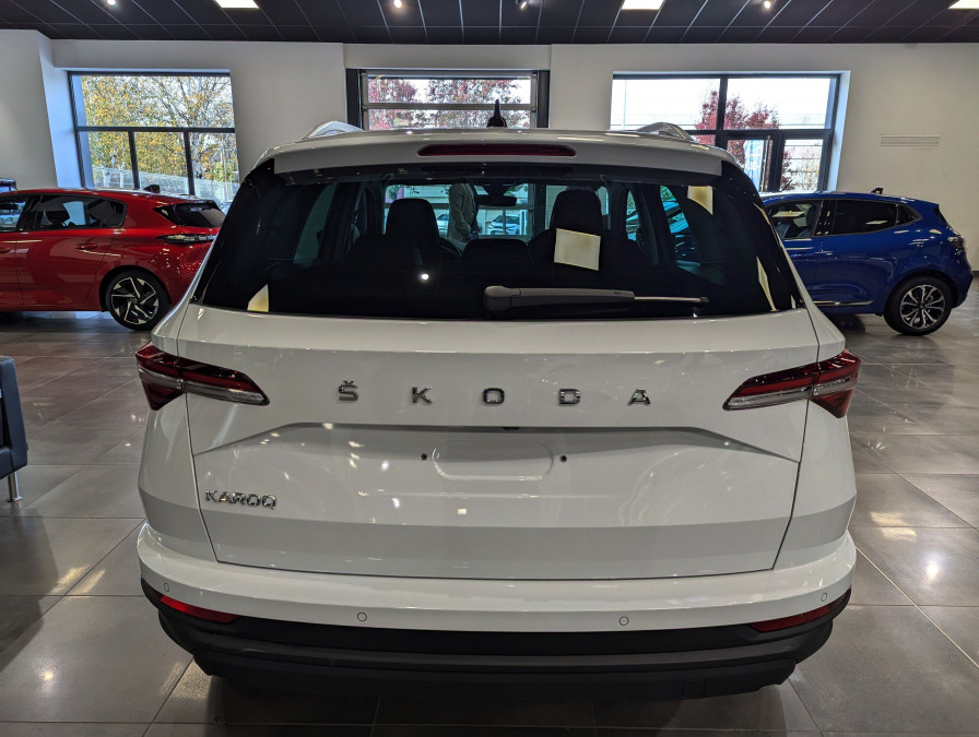 SKODA KAROQ 2.0 TDi 116 CH SELECTION occasion